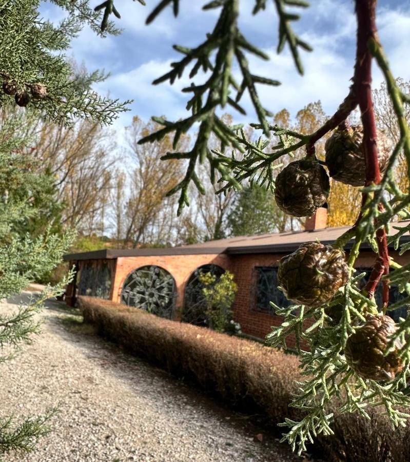 Finca Paraiso Rural El Burgo De Osma Luaran gambar