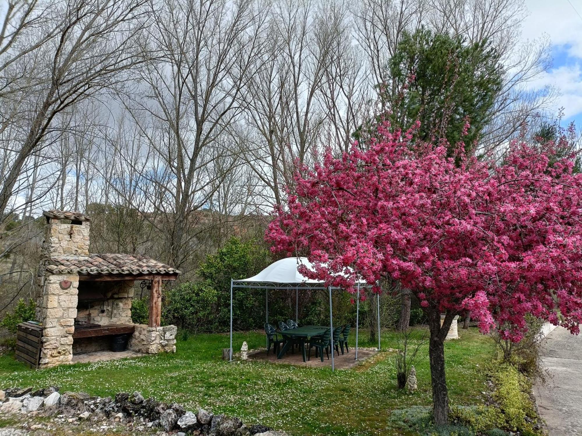 Finca Paraiso Rural El Burgo De Osma Luaran gambar