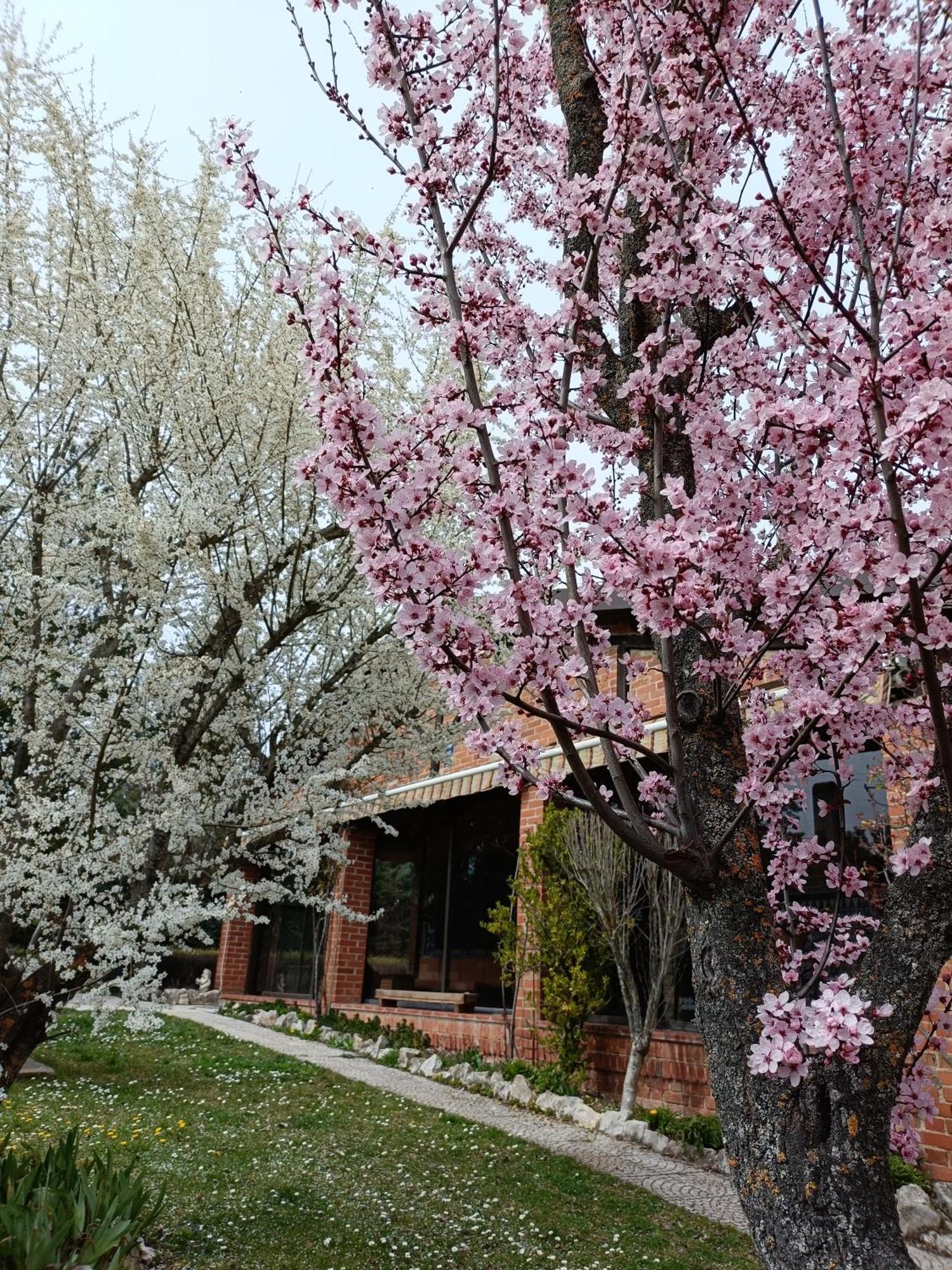 Finca Paraiso Rural El Burgo De Osma Bilik gambar